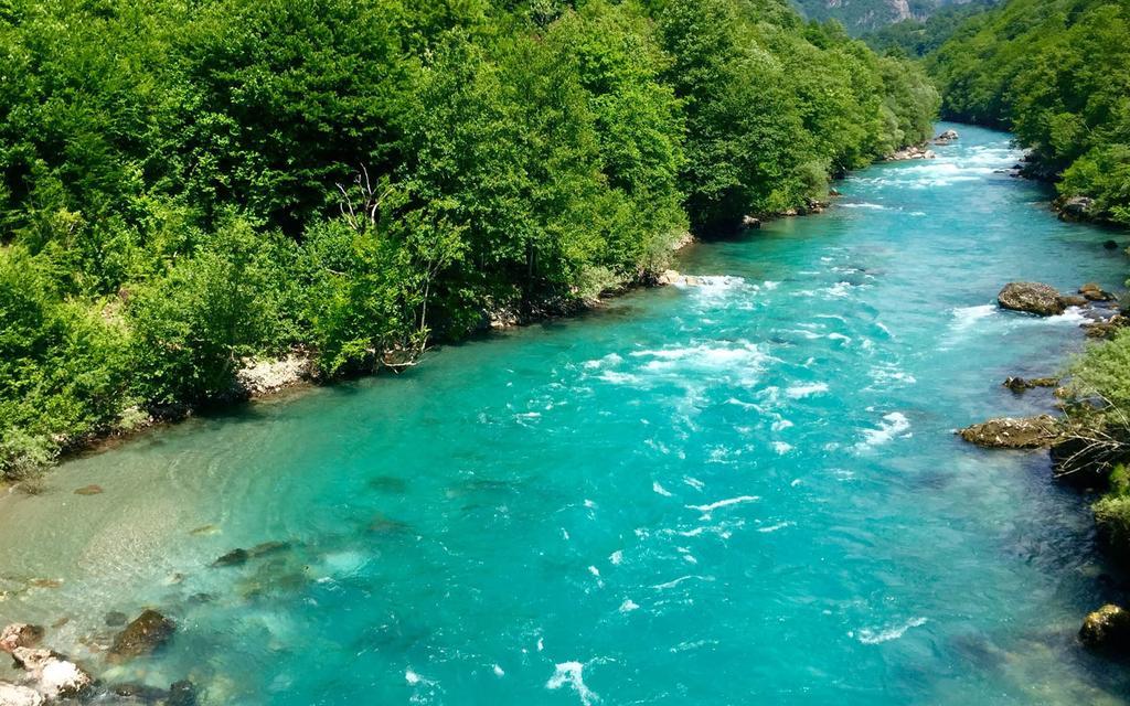 Rafting Camp Tara 87 Hotel Hum Buitenkant foto